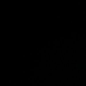 Meet your Posher, Nunu